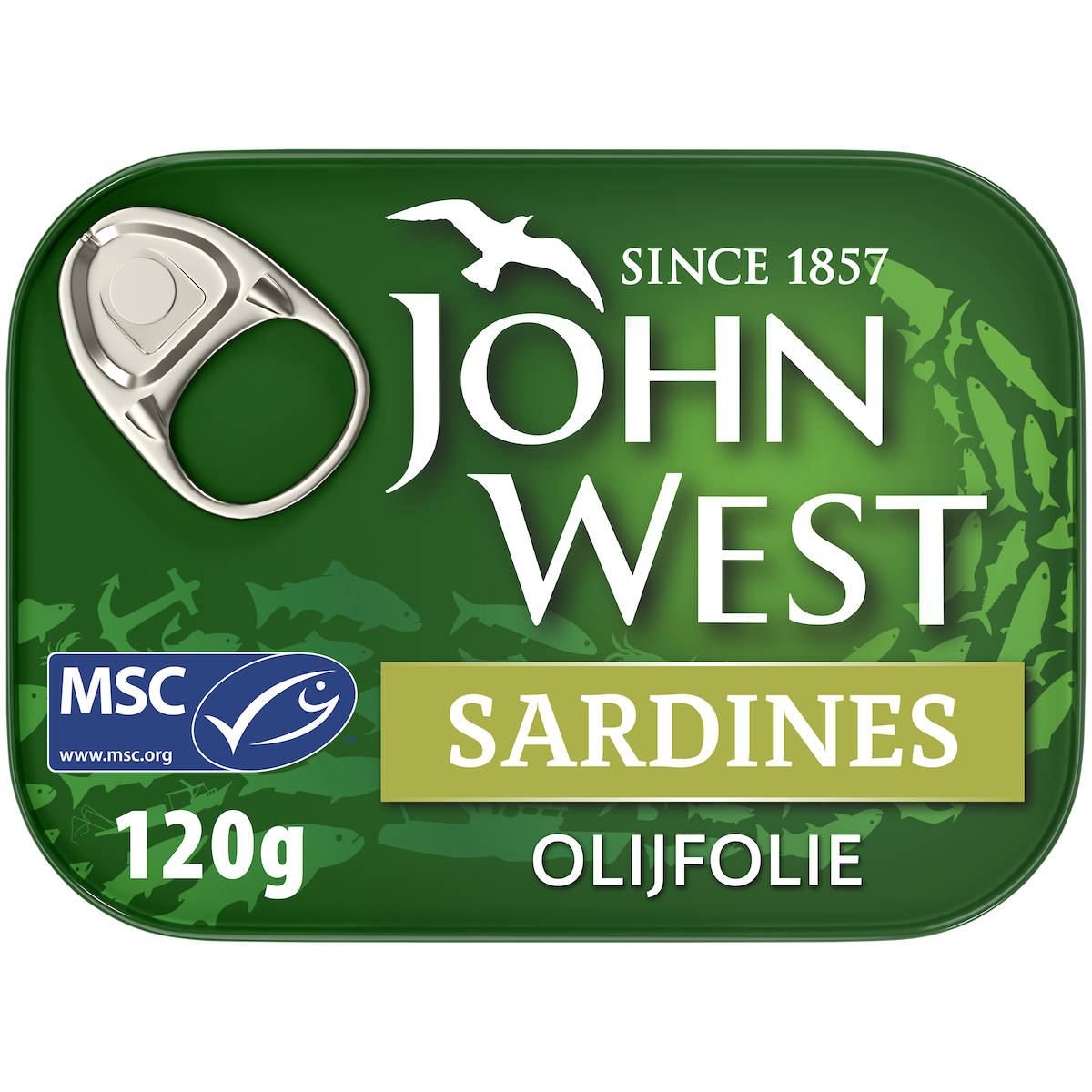 Sardines